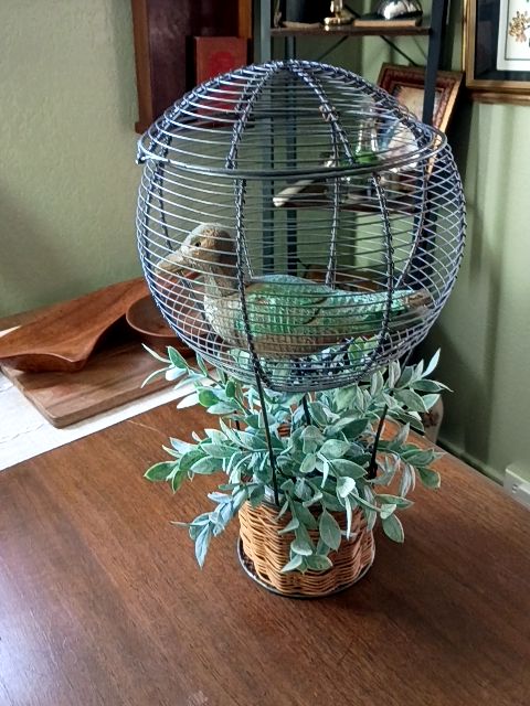Bird cage 9" x 17", wicker, metal, 9" wood carved bird