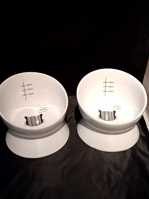 Meow measured cat dish
