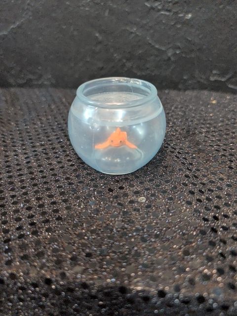 Fish in a bowl