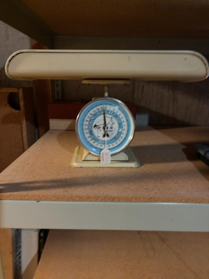 Vintage Hanson Nursery Scale