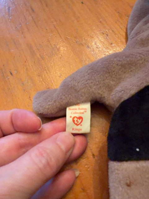 Beanie Baby Ringo. With tag.