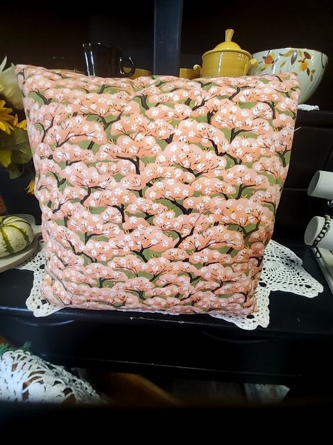 2 asian pillows, 12x12