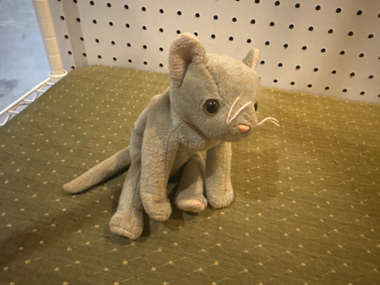 TY Cat Beanie Baby