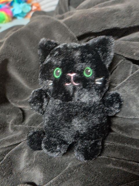 Cat Plush