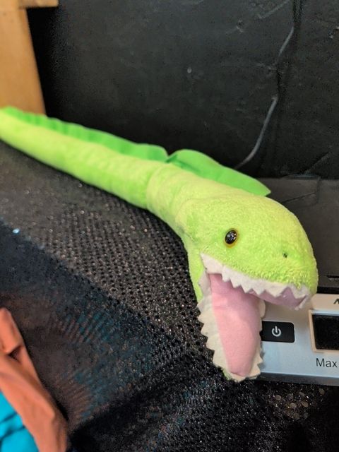 Green Eel Plush