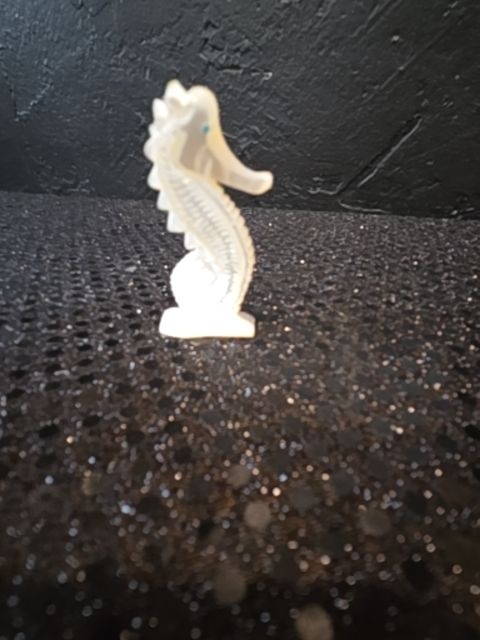 2R610 Zuni Seahorse Brian Yatsatte