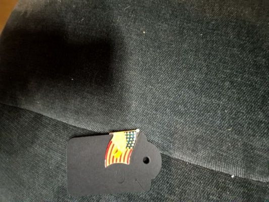 Flag with Eagle Head Pin