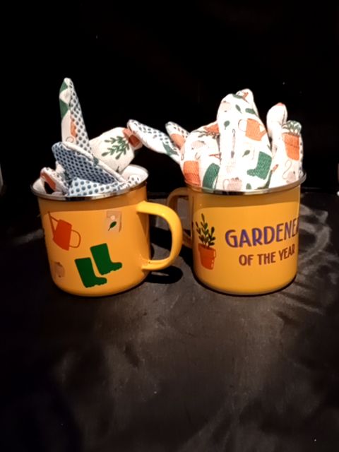 Gardener of the year cup with garden gloves NOB