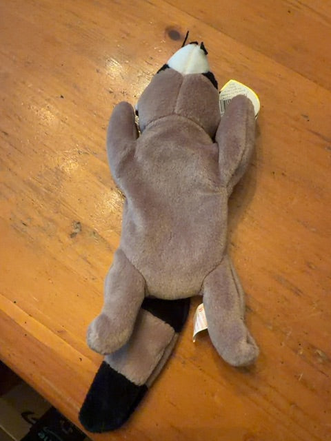 Beanie Baby Ringo. With tag.