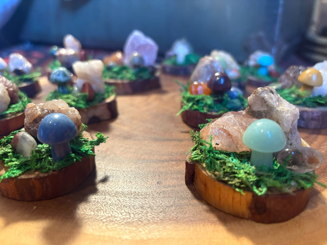 Mushroom Rock on Sliced Wood