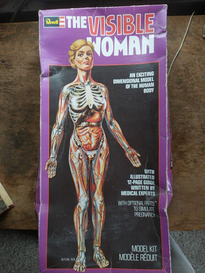 Visible Woman Model Kit